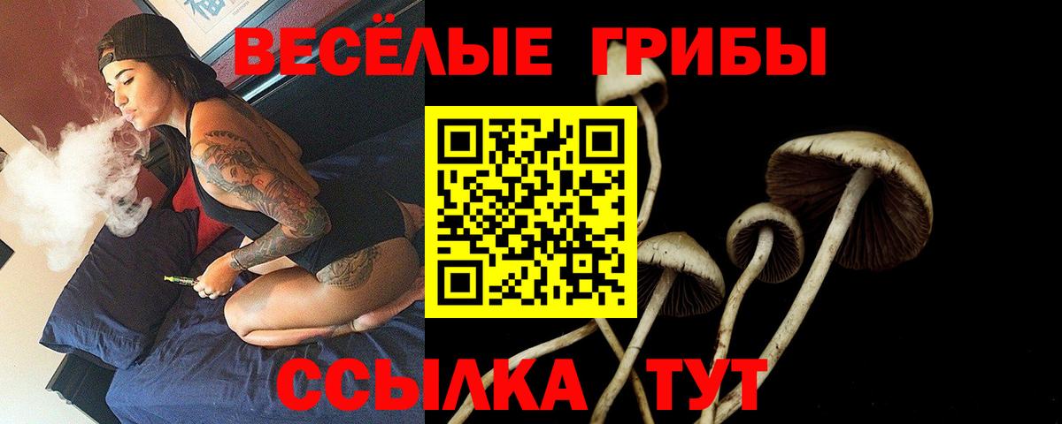 Мыски  Галлюциногенные грибы мицелий  Псилоцибиновые грибы прущие грибы  Вход с VPN 